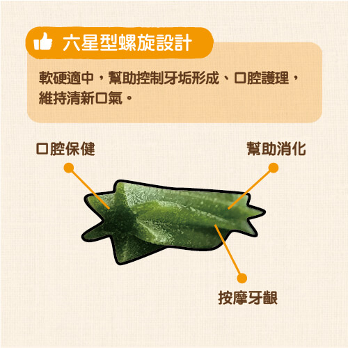 DANLO-潔牙骨螺旋設計
