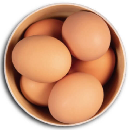 新鮮巢蛋
