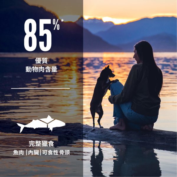 85%優質動物肉含量-Orijen海洋魚小型犬無榖配方飼